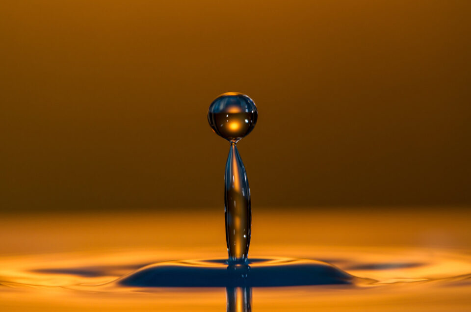 🌟 Pre-tesseramento Anno 2026 🌟