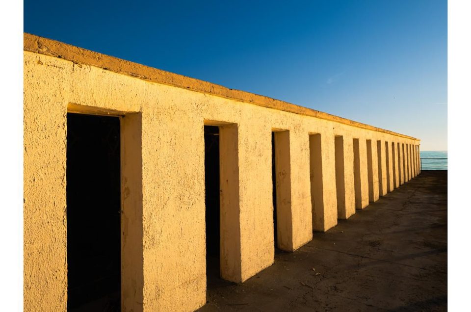 Un seme di memoria: la fotografia