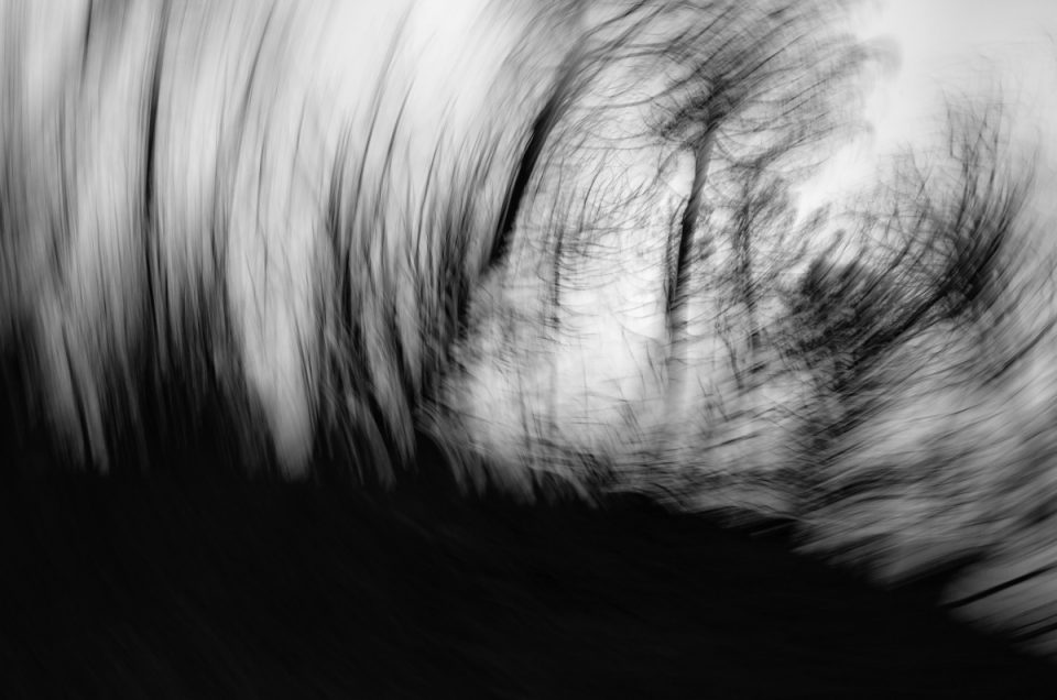 Elena Bacchi - "Naturali Stati d’Animo"